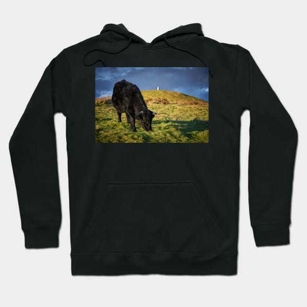 Grazing Hoodie by RJDowns